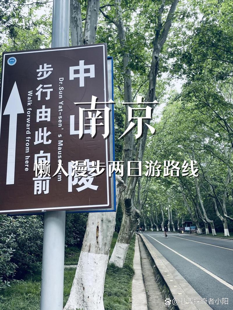 南京2天1晚|保姆級攻略