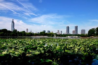 相遇玄武湖,拍一張自然時(shí)尚大片