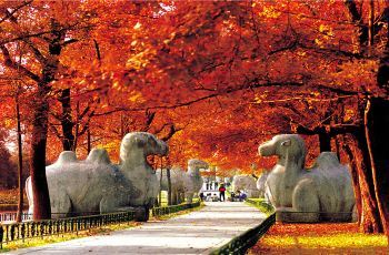 南京十大秋季旅游景點 金陵秋天最美的地方推薦