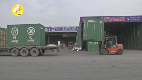 陜西物流企業(yè)加速“起飛”，航空國際貨運同比激增50%